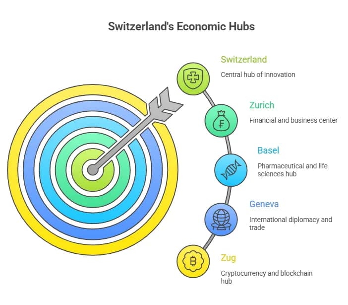 1. Understanding the Unique Dynamics of Local Search in Switzerland